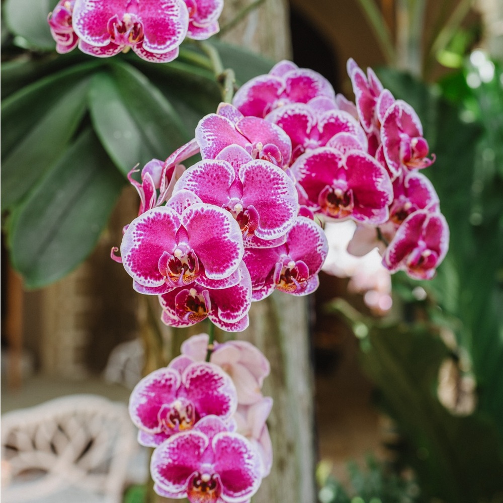 Meet your Posher, Jekaterina